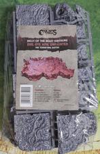 Dungeons & Lasers: Caves - ‘The Terrifying Depths’ NIEUW, Ophalen of Verzenden, Nieuw, Overige soorten, Toebehoren