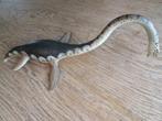 Vintage verzamel speelgoed Elasmo saurus.Carnegie 1990., Ophalen of Verzenden, Zo goed als nieuw