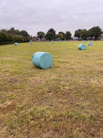 Midi hooibalen wikkelbalen beschikbaar voor biedingen