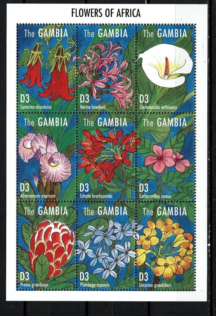 gambia 1995 pf blok bloemen flora flowers, Postzegels en Munten, Postzegels | Thematische zegels, Postfris, Dier of Natuur, Ophalen of Verzenden