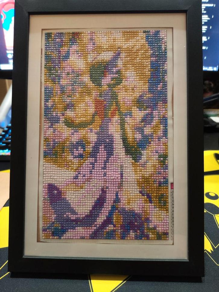 Diamond Painting Gardevoir Pokémon, Antiek en Kunst, Kunst | Tekeningen en Foto's, Ophalen of Verzenden