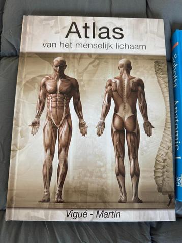 Atlas van het menselijke lichaam, Viqué - Martin beschikbaar voor biedingen