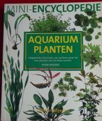 AQUARIUM PLANTEN * Peter Hiscock *, Verzenden, Zo goed als nieuw, Vissen, Peter Hiscock
