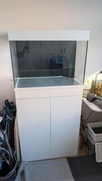 Aquarium 75x45x55, met onderkast en verlichting, Ophalen, Zo goed als nieuw, Leeg aquarium