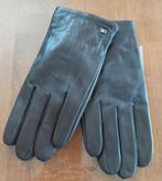 Tommy Hilfiger handschoenen, Verzenden, Nieuw, Overige maten, Handschoenen