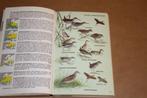 Elseviers gids van de Europese vogels., Ophalen of Verzenden, Gelezen, Vogels
