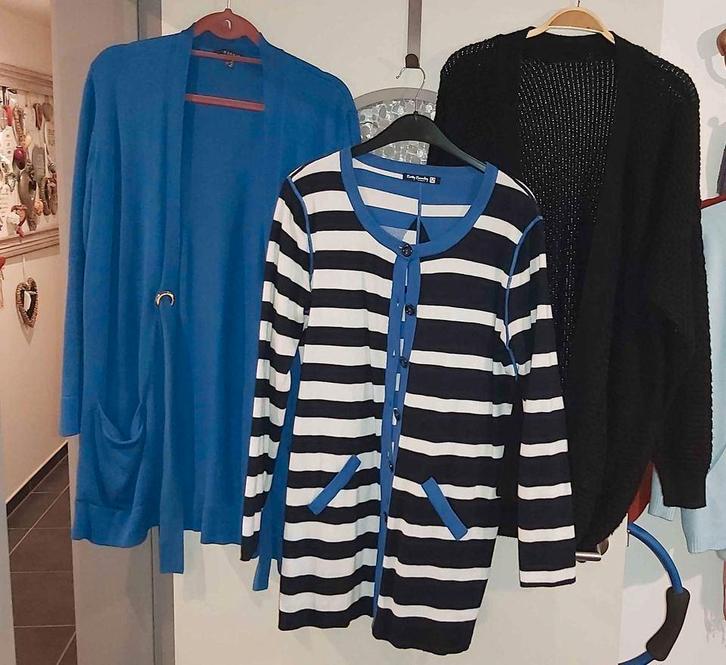 Cardigan lang, L/XL, Esprit, Betty Barclay, Hema, Kleding | Dames, Truien en Vesten, Zo goed als nieuw, Maat 42/44 (L), Blauw