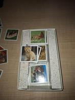 memoryspel dieren, Ophalen of Verzenden, Zo goed als nieuw