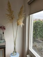 pampas pluimen heel lang 2 stuks met of zonder vaas, Ophalen of Verzenden, Nieuw