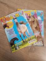 Penny Galop 2006 - nr. 1, 4 & 12, Ophalen, Gelezen, Sport en Vrije tijd