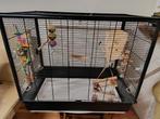 Vogelkooi inclusief spullen, Dieren en Toebehoren, Vogels | Hokken en Kooien, Ophalen, Zo goed als nieuw, Metaal, Vogelkooi