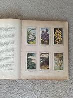 Oude Verkade Albums, Ophalen, Gelezen, Diverse auteurs, Plaatjesalbum