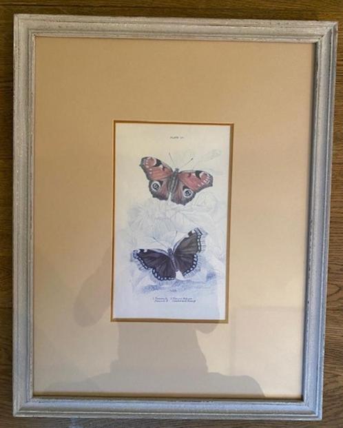 Set van 3 verschillende ingelijste afbeeldingen van vlinders, Huis en Inrichting, Woonaccessoires | Lijsten, Zo goed als nieuw