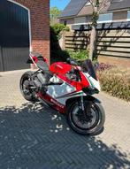 Ducati 899 Panigale Tricolore, Motoren, 898 cc, 2 cilinders, Motorrijbewijs A, Super Sport