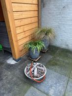 Tafelbrander, Tuin en Terras, Ophalen, Gebruikt