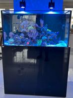 Zeeaquarium Aquaja Diamond line 400, Ophalen, Zo goed als nieuw, Gevuld zeewateraquarium