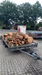 Te koop brandhout, Tuin en Terras, Haardhout, Minder dan 3 m³, Ophalen, Overige houtsoorten, Blokken