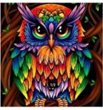 diamond painting full., Hobby en Vrije tijd, Knutselen, Ophalen of Verzenden, Nieuw, Knutselwerk