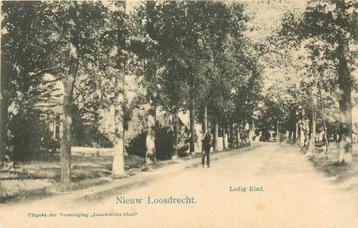 (388-433-011) Nieuw Loosdrecht Ledig Eind beschikbaar voor biedingen