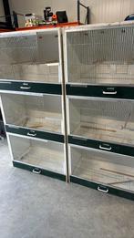 Broedkooien 12 stuks, Dieren en Toebehoren, Vogels | Hokken en Kooien, Ophalen of Verzenden, Zo goed als nieuw, Hout, Broedkooi of Kweekkooi