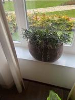 Stoer Vaas met Kunstplant & Houten Bladen, Ophalen of Verzenden, Zo goed als nieuw