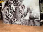 Prachtige plexiglas tijger, Ophalen, Zo goed als nieuw, Schilderij, 50 tot 75 cm