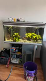 Aquatlantis aquarium 100cm, Ophalen, Gebruikt, Leeg aquarium