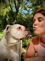 Hondenuitlaatservice aangeboden!, Training of Cursus