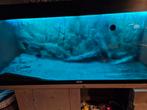 Juwel 240 aquarium kleur zwart met kast., Dieren en Toebehoren, Ophalen of Verzenden, Zo goed als nieuw, Leeg aquarium