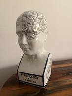 Porseleinen schedel Phrenology, Ophalen