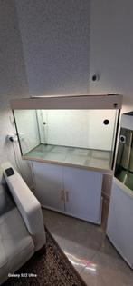 Aquarium, Ophalen of Verzenden, Hok, Minder dan 60 cm