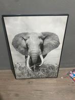 Olifant Foto/Poster, Huis en Inrichting, Woonaccessoires | Schilderijen, Tekeningen en Foto's, Ophalen of Verzenden, Zo goed als nieuw