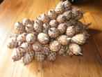 grote tros decoratieve vruchten / zaden, Ophalen of Verzenden
