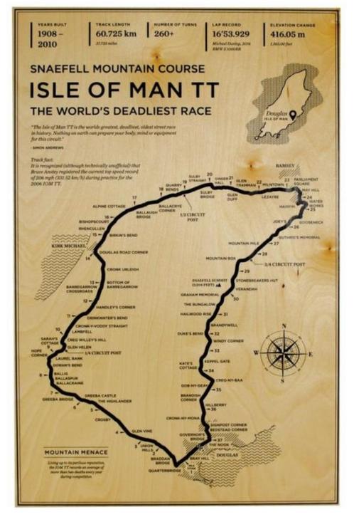 Retro Isle Of Man TT Grand Prix Poster / Auto F1 Formule 1, Verzamelen, Automerken, Motoren en Formule 1, Nieuw, Formule 1, Verzenden