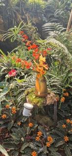 Betrouwbare huishoudelijk hulp, Vacatures