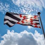 Loosdrechtse vlaggen | SVL | Loosdrecht | Vlag | 1231 🚩🏳🏴, Nieuw, Ophalen of Verzenden