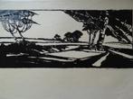 Linosnede Berkenland, landschap J. Fred Stips 1932,, Antiek en Kunst, Kunst | Etsen en Gravures, Verzenden