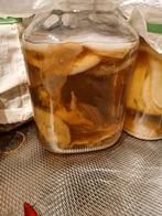 bio scoby, Diversen, Levensmiddelen, Ophalen