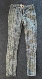 Scotch & Soda broek met print, Blauw, Scotch & Soda, Ophalen of Verzenden, Zo goed als nieuw