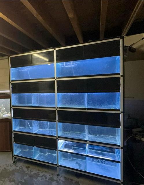 Aquarium stelling, Dieren en Toebehoren, Vissen | Aquaria en Toebehoren, Gebruikt, Leeg aquarium, Ophalen of Verzenden
