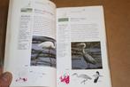 Vogels. Peter Holden. ANWB veldgids., Ophalen of Verzenden, Gelezen, Vogels