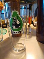 Glas BFVW Friese Vogelwacht, Huis en Inrichting, Keuken | Servies, Glas of Glazen, Gebruikt, Ophalen of Verzenden, Glas