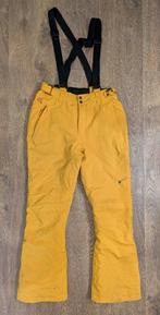 Protest PVRE Serie, Heren Skibroek M – Waterkolom 20.000mm, Kleding | Heren, Wintersportkleding, Broek, Maat 48/50 (M), Protest