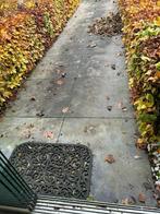 Belgisch hardsteen tegels 80 x 80, Tuin en Terras, Tegels en Klinkers, Ophalen, Gebruikt, 5 tot 10 m², Natuursteen