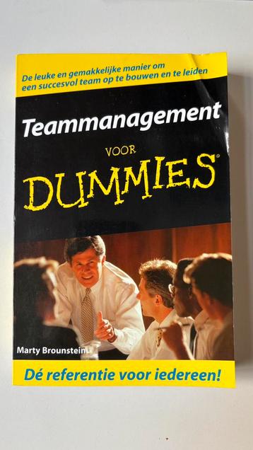 Marty Brounstein - Teammanagement voor dummies beschikbaar voor biedingen