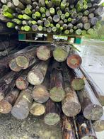 Dikke palen, Tuin en Terras, Palen, Balken en Planken, Ophalen, Gebruikt, Minder dan 180 cm, Palen