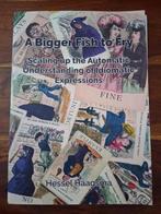 Scaling up the Automatic Understanding of Idiomatic Expressi, Boeken, Ophalen of Verzenden, Zo goed als nieuw