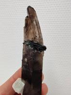 Rookkwarts met aegirien, Ophalen of Verzenden, Mineraal