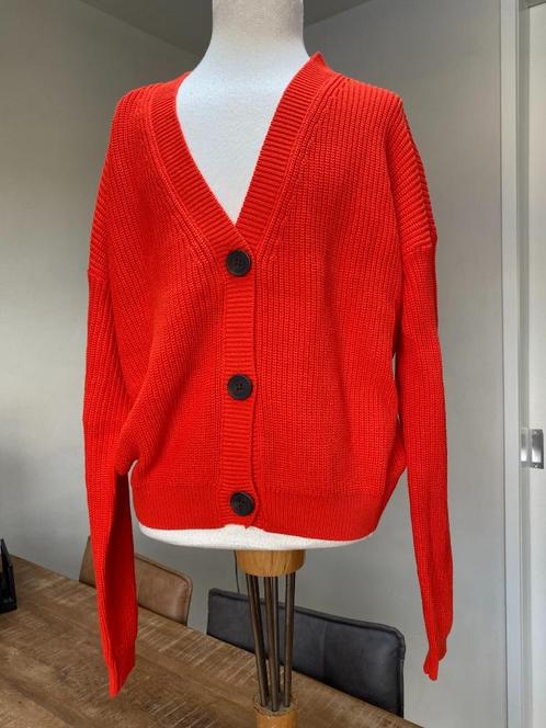 WE vest NIEUW maat 158 / 164 DH, Kinderen en Baby's, Kinderkleding | Maat 158, Nieuw, Meisje, Trui of Vest, Ophalen of Verzenden