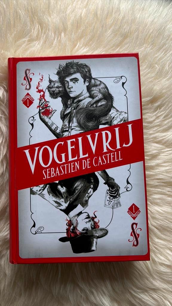 Sebastien de Castell - Vogelvrij | z.g.a.n., Boeken, Kinderboeken | Jeugd | 13 jaar en ouder, Zo goed als nieuw, Ophalen of Verzenden